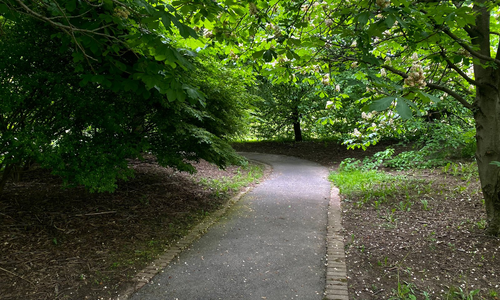 Highland Park in Rochester, New York — home to Highland Bowl Amphitheater