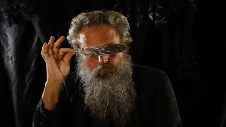 Iron and Wine performing live