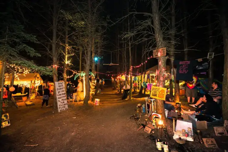 Illuminated pine grove pathway at Sterling Stage Kampitheater during nighttime festival