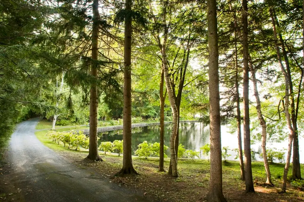 Tree-lined path on The Sembrich grounds with Lake George visible in Bolton Landing NY