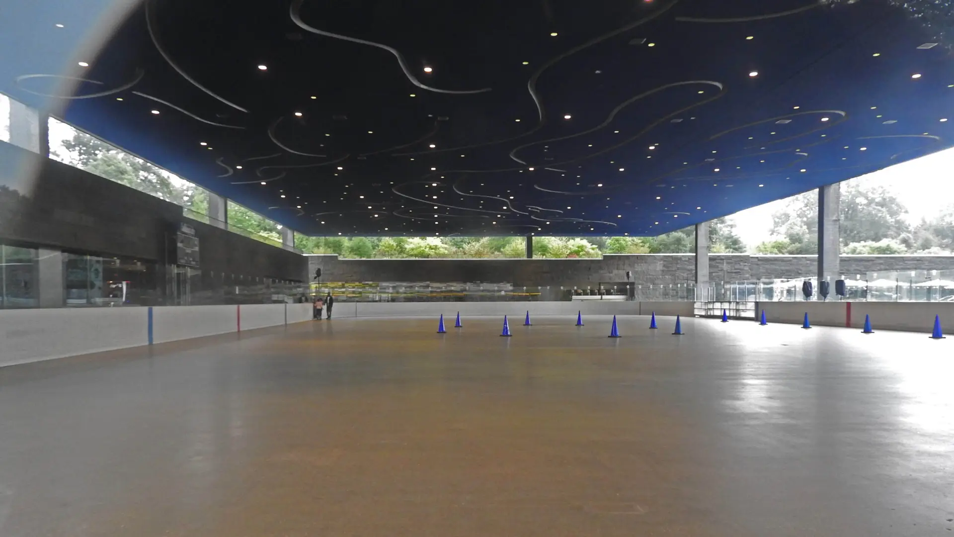 LeFrak Center at Lakeside in Prospect Park, Brooklyn — Saturday venue for the Brooklyn Guitar Festival